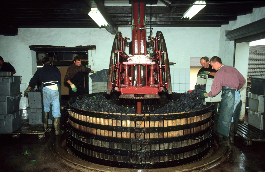 Pressoir traditionnel en Champagne Photo John Hodder ©Comité Champagn Pressoir traditionnel en Champagne Photo John Hodder ©Comité Champagne
