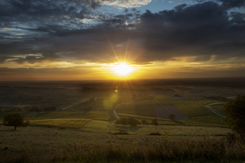 Coucher de soleil sur les vignes de Pupillin © CIVJ - Xavier Servolle Coucher de soleil sur les vignes de Pupillin © CIVJ - Xavier Servolle